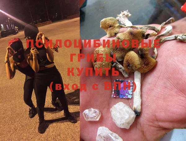 дурь Абаза