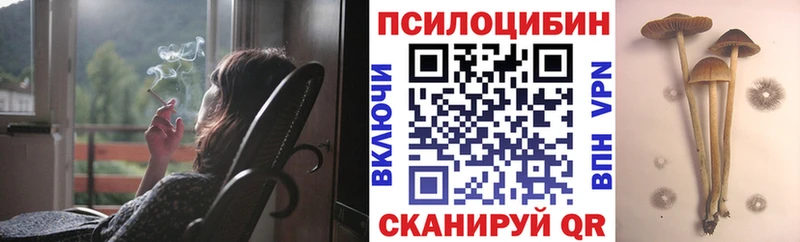 mega зеркало  Кирсанов  Псилоцибиновые грибы мухоморы 